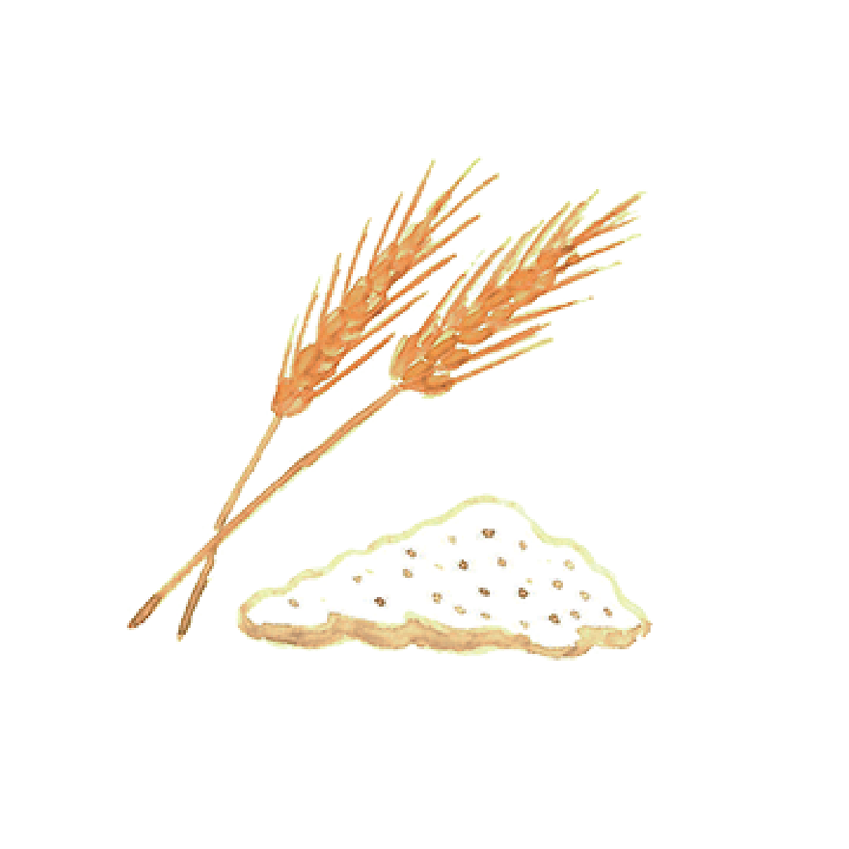 小麦